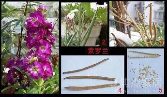 苏格拉底关于爱情的名人名言