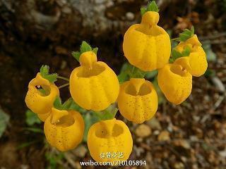 赖组词 赖组词组