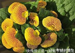 朋友圈晚安赞多的说说简短 睡前发个朋友圈晚安语