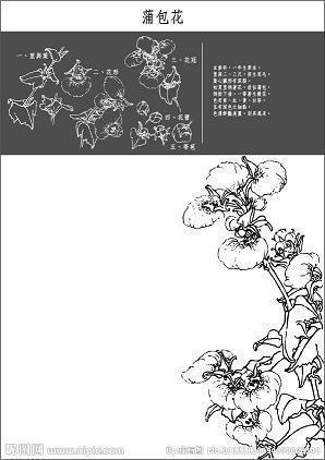没有上锁的门~母爱，是一切平凡中最为伟大的爱