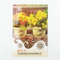 形容海边景色优美句子
