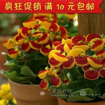 真朋友与假朋友的说说