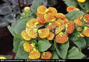 形容熊孩子淘气的句子 形容熊孩子的词语