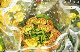 我的大学的感悟