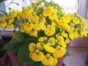 端午节短信祝福 端午节说什么祝福语