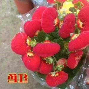 磬笔难书