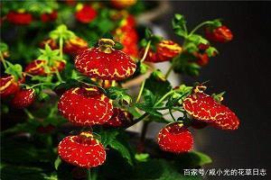 何厚江：踏实做事老实做人