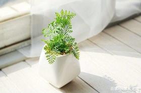 和公司一起成长寄语
