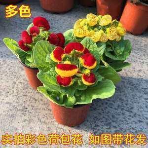 适合情侣空间发的句子 情侣空间甜蜜留言说说18句