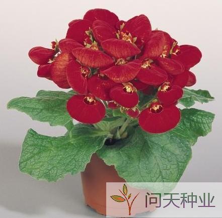 关于勇气的名言
