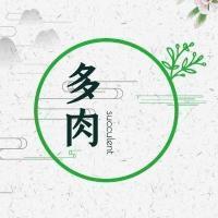 有关端午节的个性说说带图片集合24句