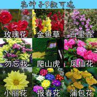 精选的岗位格言警句大全