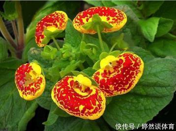 一笑置之