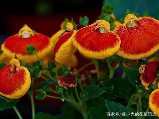 结婚祝福语经典句子