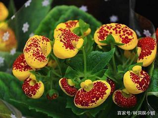 读书名言唯美句子大全集45条