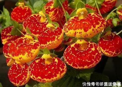 触动心灵的瞬间_唯美的触动心灵的句子