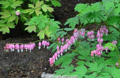 20岁生日的说说_关于20岁生日说说