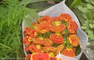 平安夜圣诞节祝福语简短