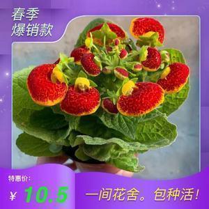 说给虚伪的人的说说 形容一个人虚伪的句子81句