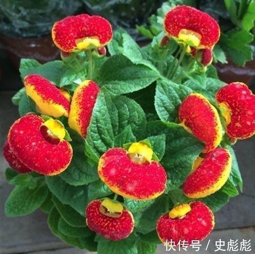 爱情交友宣言大全_句子大全