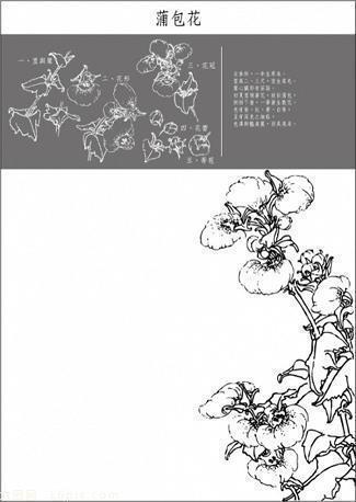 十二生肖歇后语大全及答案_十二字伤感短句