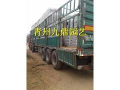 形容疫情期间相互感动的句子
