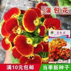 朋友圈的逗比句子 微信朋友圈逗比自恋语录
