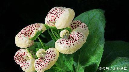 幼师对幼儿的一句话