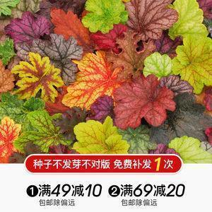 鼓励大家冲业绩打鸡血经典语句