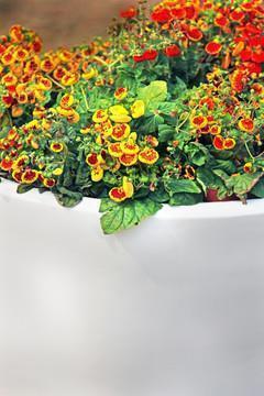 潿