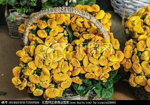 万马齐喑