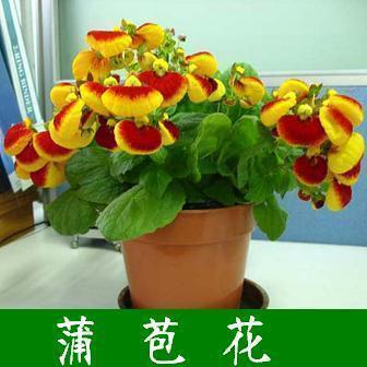 鼻孔朝天
