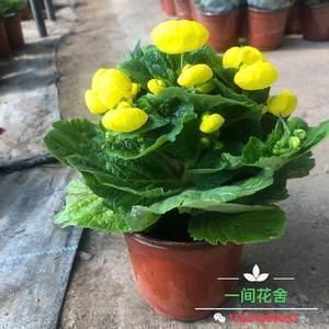 生离死别的句子