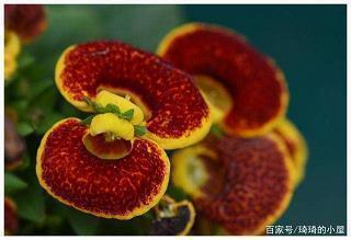 经典秀恩爱情侣说说大全 只捡了下掉在地上的笔