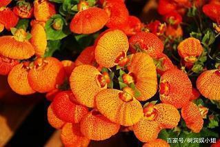 古诗绝句的诗意大全