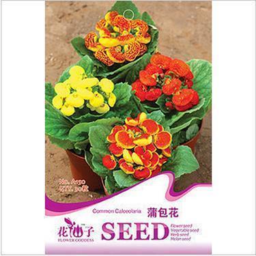 节日祝福语