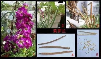 幼儿园毕业赠言寄语