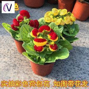无助的伤感句子67条