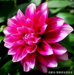 100句一句话经典语录