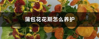 朋友圈温暖走心的文艺句子说说