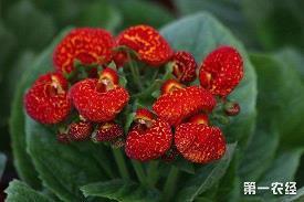 邪谀