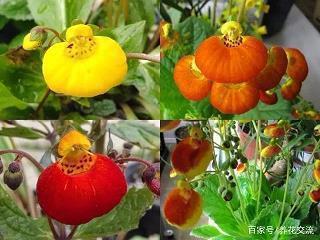 中秋祝福情人的话语 中秋祝福情人的唯美句子(精选57条)