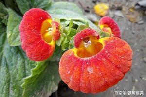歌声好听的句子 歌声好听的句子说说心情