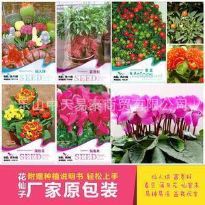 关于青春的唯美说说句子大全