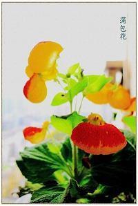 治点