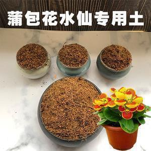 炿