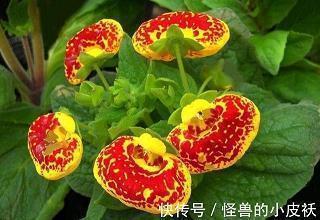 伤心委屈的句子说说心情