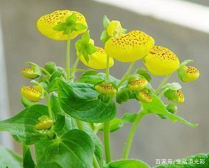 范大成名言：若将世路比山路，世路更多千万盘