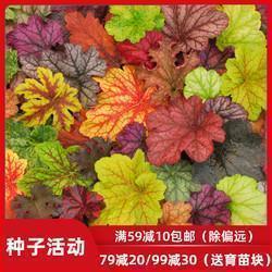 发红包给女朋友的句子