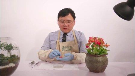形容菜园惬意的诗句 描写“菜园”的诗句有哪些？